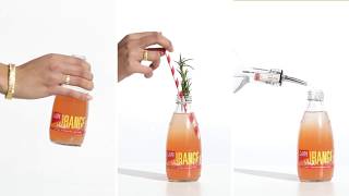 How to-Fruit Sodas